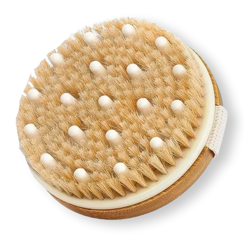 Brosse Lymphatique Corps